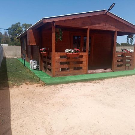 Bungalow Sol Chiclana de la Frontera Eksteriør billede